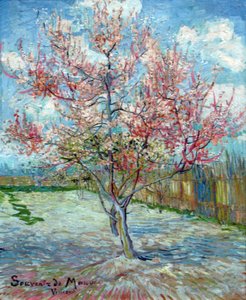 Roze Perzikbomen (Souvenir de Mauve)